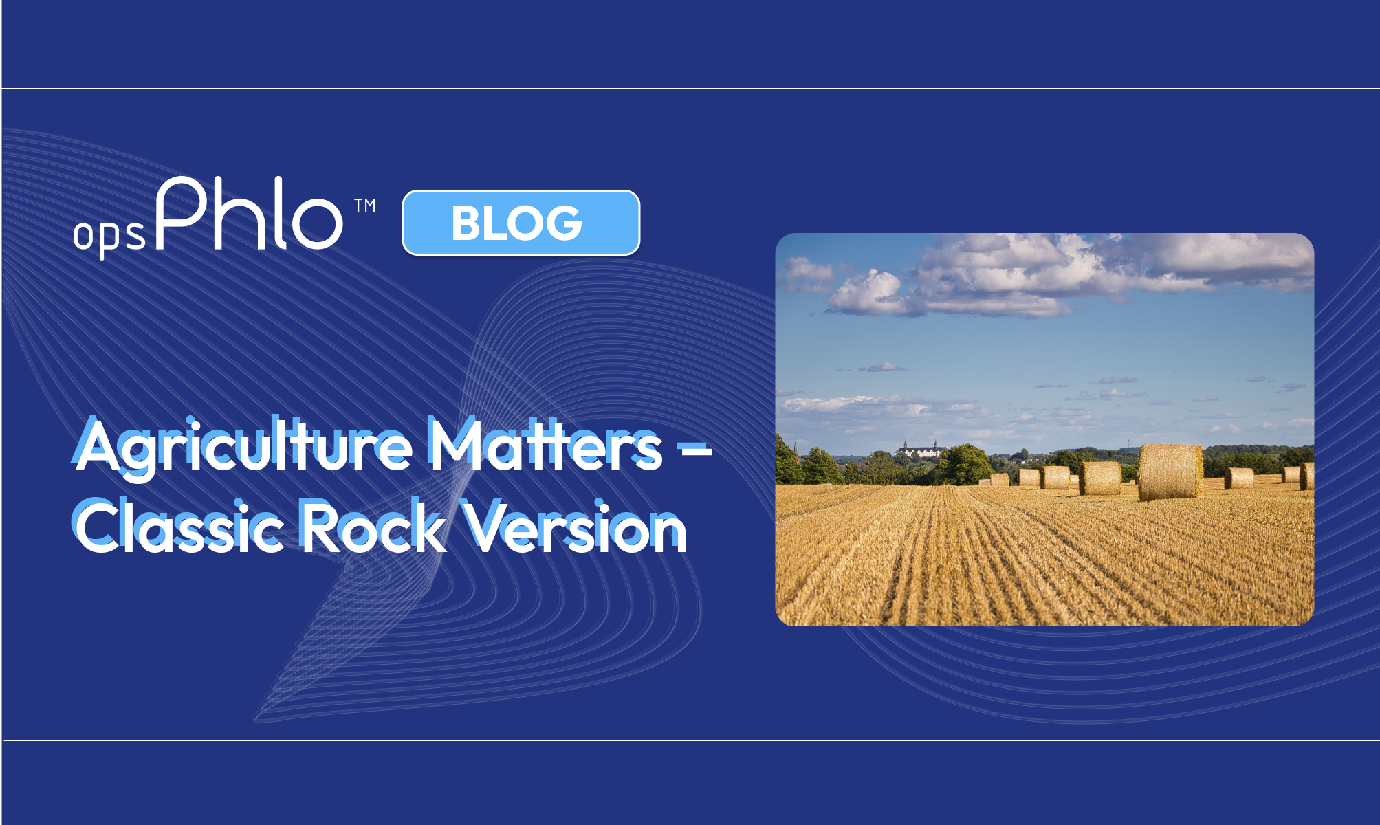 Agriculture and commodity markets
